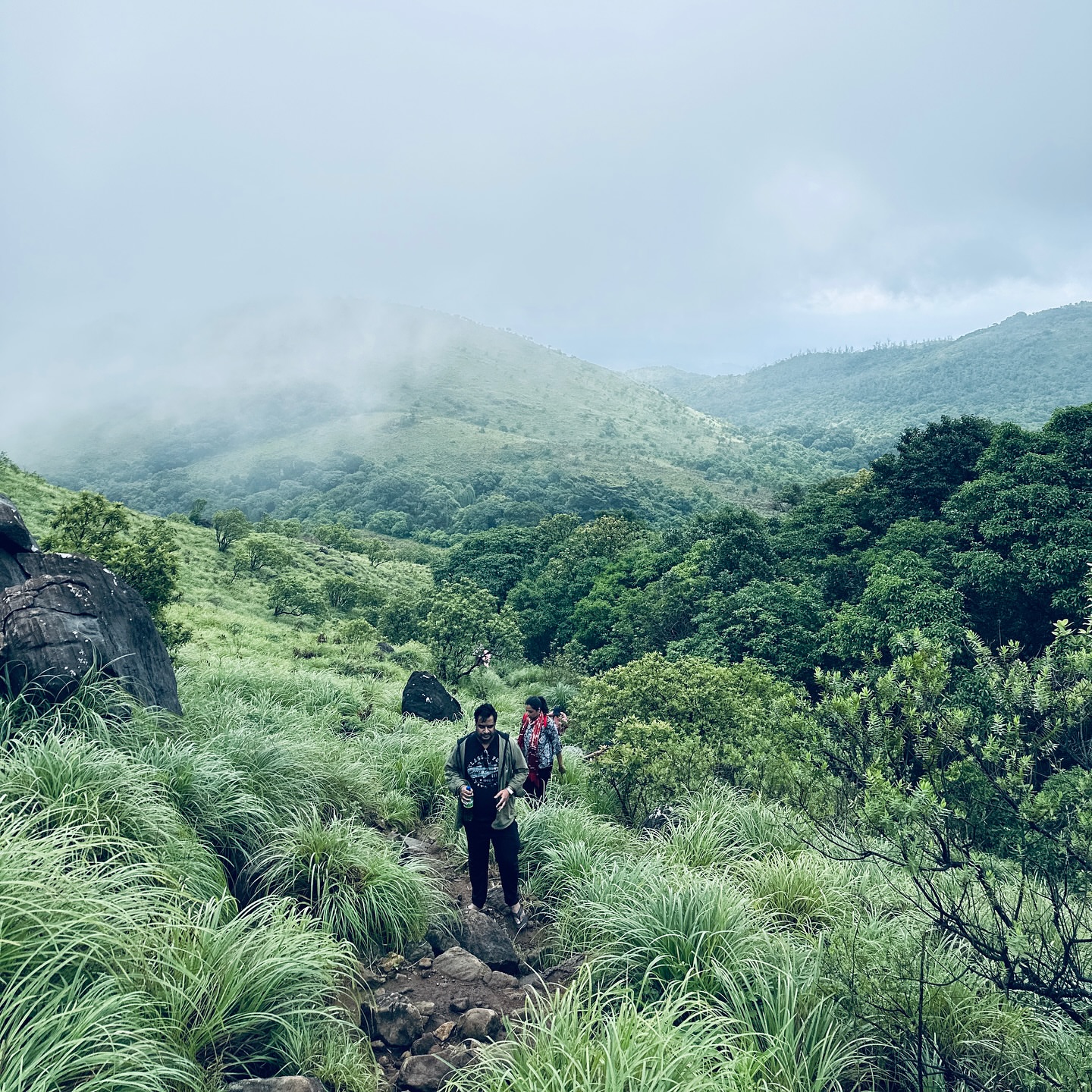 Trek Trail
